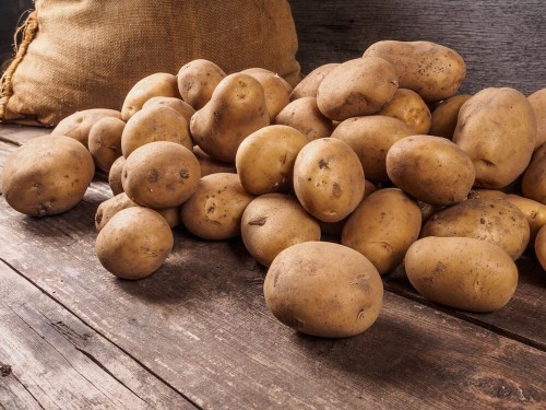 shutterstock_347630291.jpg
