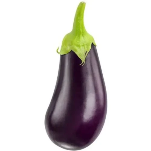 4095.webp