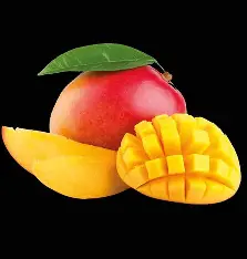 pobierz (40).webp